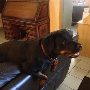 Meet your Posher, Jan